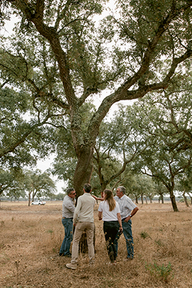 08_People_Near_Tree_Image