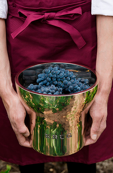 10_Grapes_In_Bucket_Image